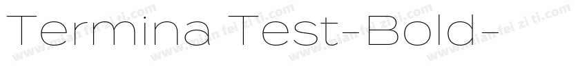 Termina Test-Bold字体转换